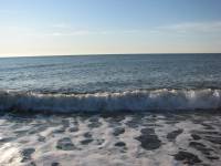 IMG_1232.JPG