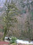 IMG_1345.JPG