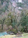 IMG_1347.JPG