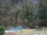 IMG_1349.JPG