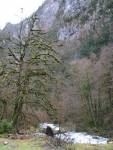 IMG_1350.JPG