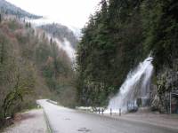 IMG_1361.JPG