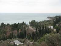 IMG_1472.JPG