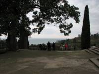 IMG_1474.JPG