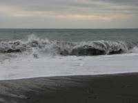 IMG_1484.JPG