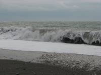 IMG_1485.JPG