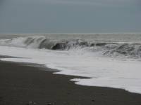 IMG_1486.JPG