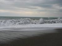 IMG_1494.JPG